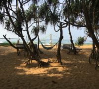 Camping on the Beach